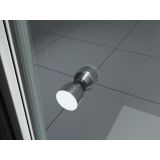 Swing door Luna